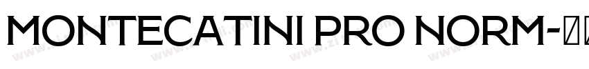 Montecatini Pro Norm字体转换